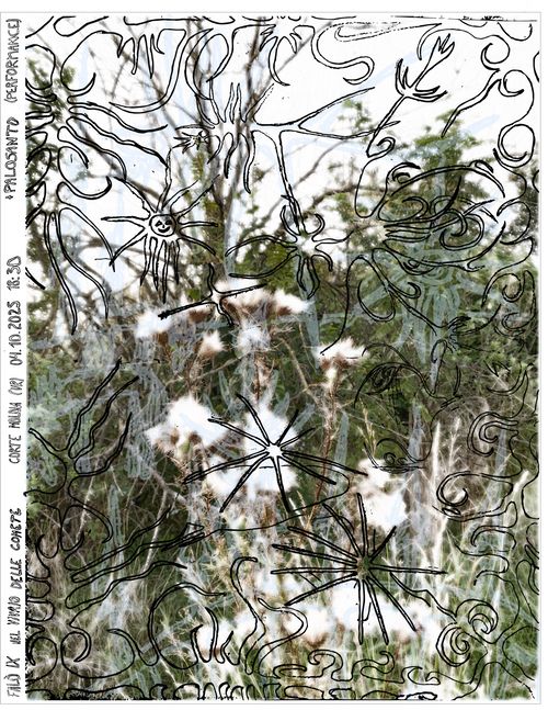   ҈   Falò IX   ҉   Nel vivaio delle comete  