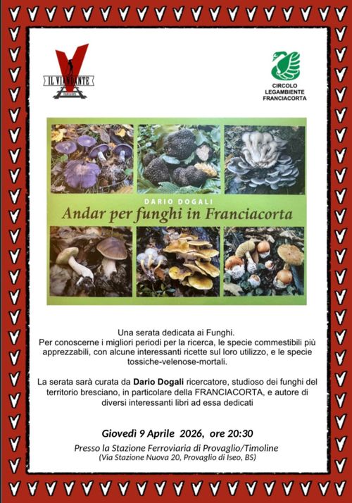 Andar per funghi in Franciacorta
